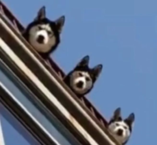 1664356807818872.png 微信图片_20220928171948.png