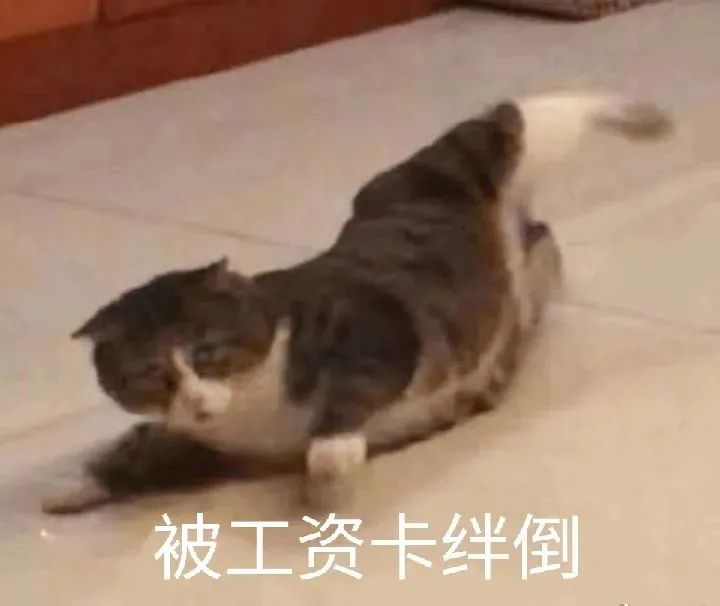 1679971165427569.jpg 微信图片_20230328103906.jpg